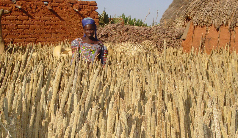 Woman farmer by IFDC Photography.png